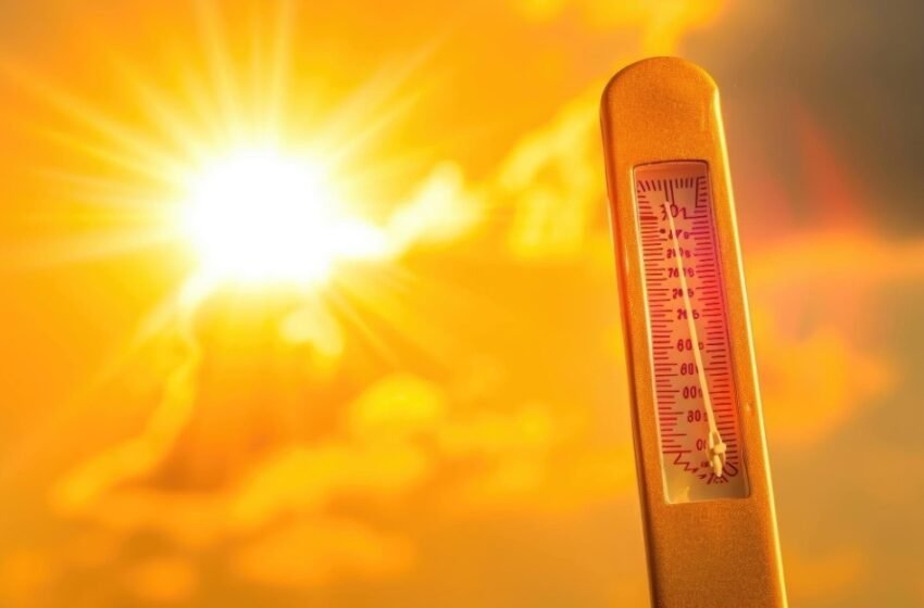 Heat Wave Alert