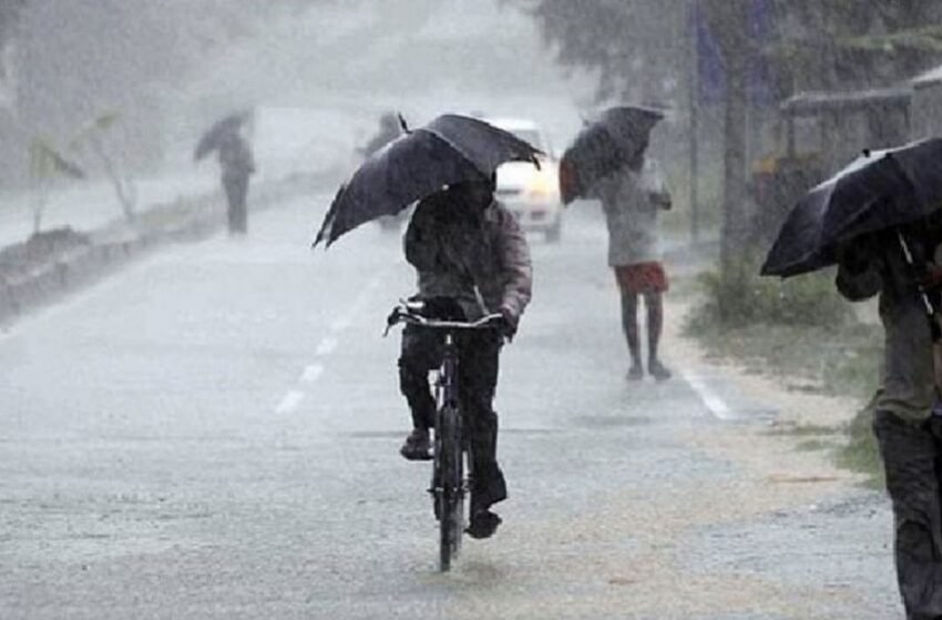 Monsoon will be active in entire UP in the next 24 hours