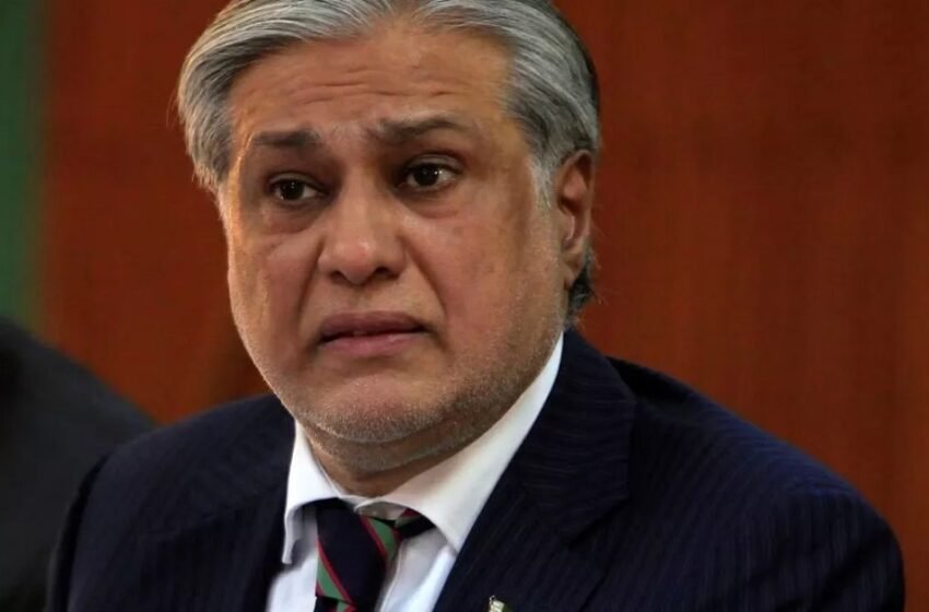 Pakistan's Deputy PM made a big revelation