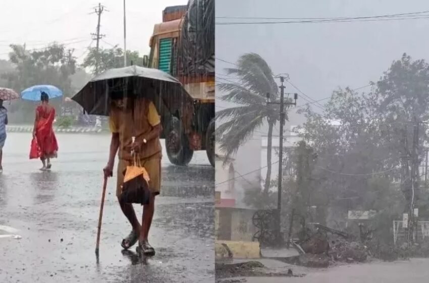  दिल्ली-NCR में आज येलो अलर्ट, 60 KM प्रति घंटे की रफ्तार से चलेंगी हवाएं; गर्मी से राहत