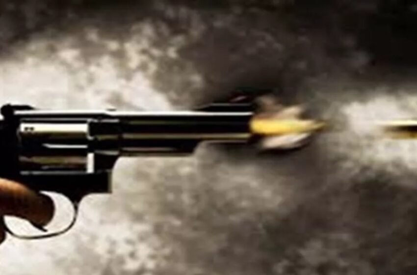 indiscriminate firing in a school in austria