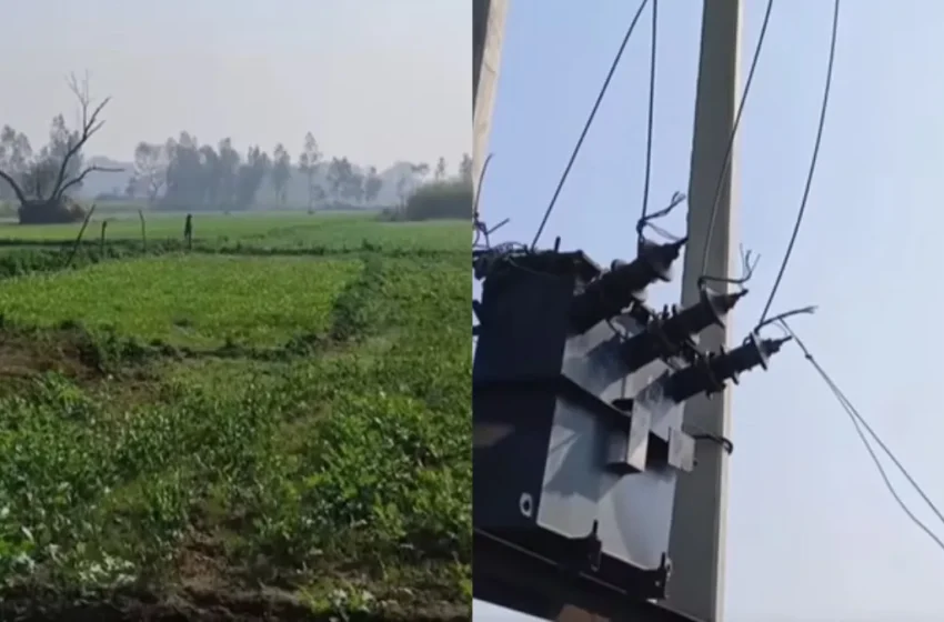  किसान ने खेत की रखवाली के लिए अपनाया खतरनाक तरीका