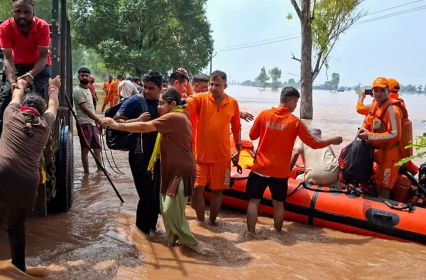  पंजाब में भारी बाढ़ संकट: मौतें, प्रभावित लोग और राहत कार्य जारी