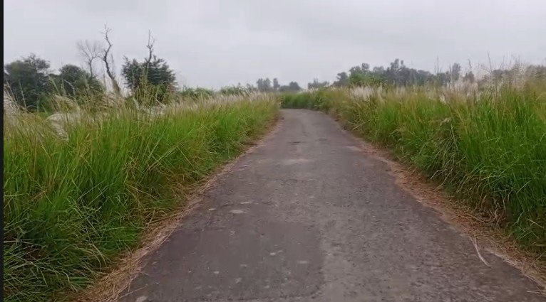  रुधौली तहसील क्षेत्र में पड़िया सुरवार मार्ग का बुरा हाल, राहगीरों की बढ़ी मुसीबत