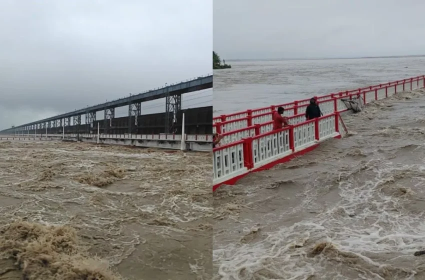  बिहार की कोसी नदी का खतरा: फिर से डूब सकते हैं सहरसा, सुपौल और खगड़िया